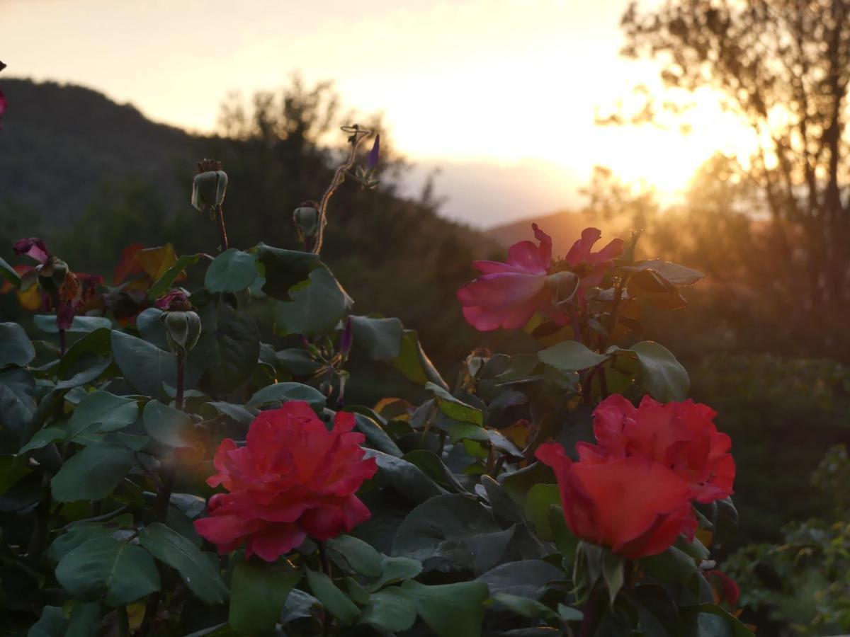 Source Nature Mas-d'Azil エクステリア 写真