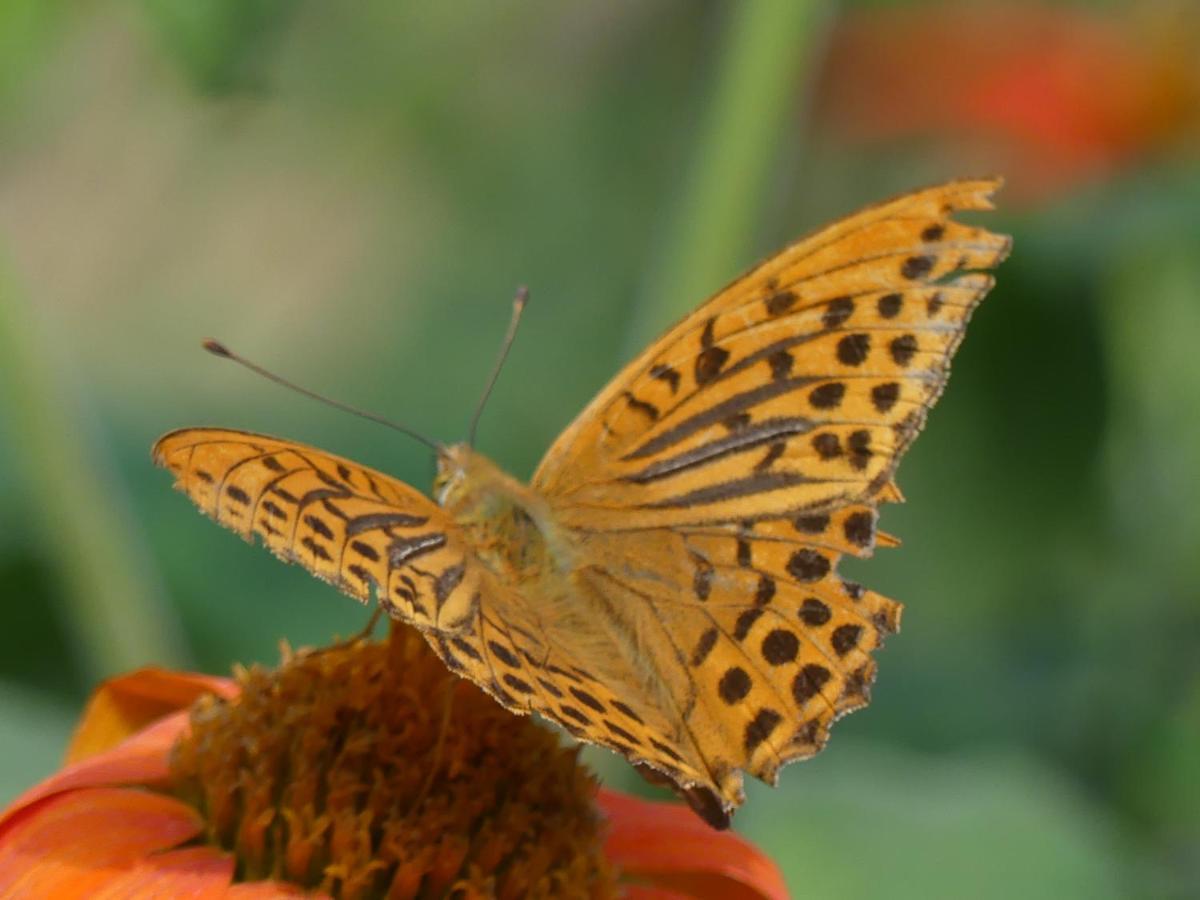 Source Nature Mas-d'Azil エクステリア 写真