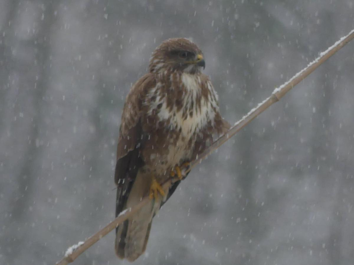 Source Nature Mas-d'Azil エクステリア 写真